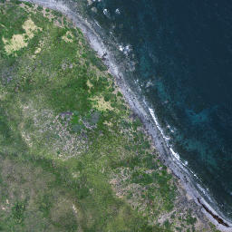 Satellite imagery of Titirangi Point, NZ