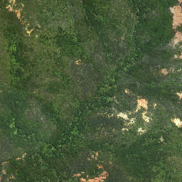 Satellite imagery of Tokatoka Point, NZ