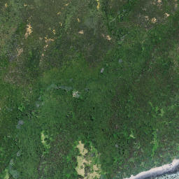 Satellite imagery of Tokatoka Point, NZ