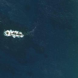 Satellite imagery of Ohotutea Point, NZ