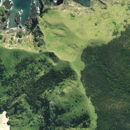 Satellite imagery of Taunganui Point, NZ