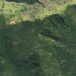 Satellite imagery of Taunganui Point, NZ