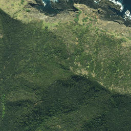 Satellite imagery of Taunganui Point, NZ