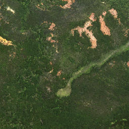 Satellite imagery of Tokatoka Point, NZ