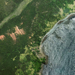 Satellite imagery of Tokatoka Point, NZ