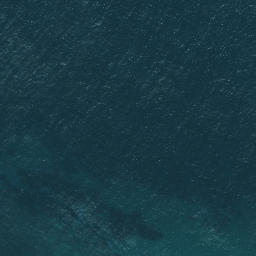Satellite imagery of Otangawhiti Point, NZ