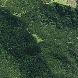 Satellite imagery of Pukurahi Point, NZ