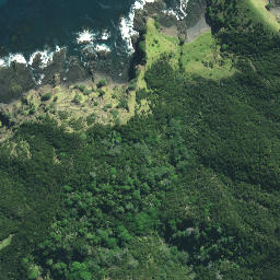 Satellite imagery of Pukurahi Point, NZ