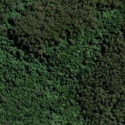Satellite imagery of Mount Burelli, AU