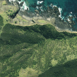 Satellite imagery of Otangawhiti Point, NZ
