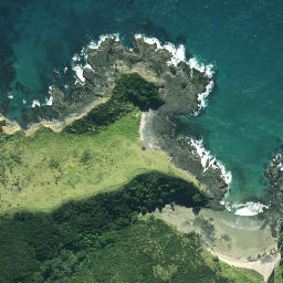 Satellite imagery of Otangawhiti Point, NZ