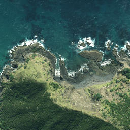 Satellite imagery of Otangawhiti Point, NZ