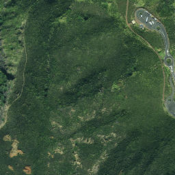 Satellite imagery of Tarawamaomao Point, NZ