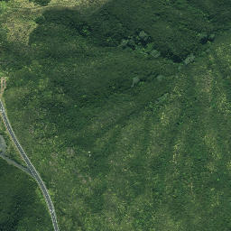 Satellite imagery of Otangawhiti Point, NZ