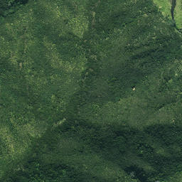 Satellite imagery of Otangawhiti Point, NZ