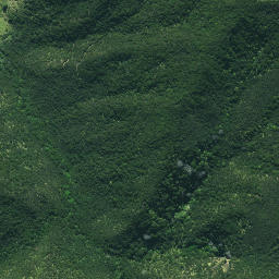 Satellite imagery of Otangawhiti Point, NZ