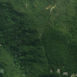 Satellite imagery of Matakana Pa, NZ