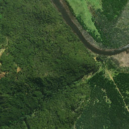 Satellite imagery of Whakapaku Pa, NZ