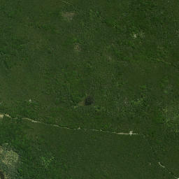 Satellite imagery of Whakapaku Pa, NZ