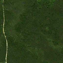 Satellite imagery of Wharekawa Pa, NZ