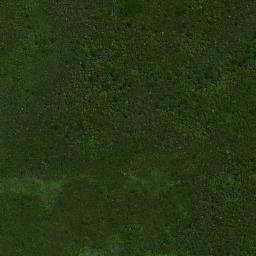 Satellite imagery of Wharekawa Pa, NZ