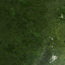 Satellite imagery of Wharekawa Pa, NZ