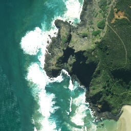 Satellite imagery of Tarawamaomao Point, NZ