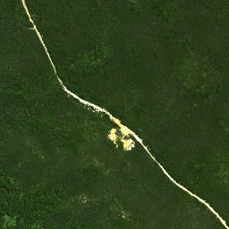 Satellite imagery of Wharekawa Pa, NZ