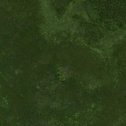 Satellite imagery of Wharekawa Pa, NZ
