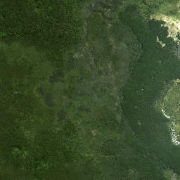 Satellite imagery of Wharekawa Pa, NZ