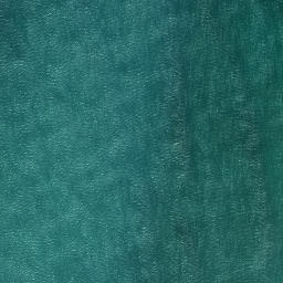 Satellite imagery of Tarawamaomao Point, NZ