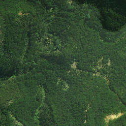 Satellite imagery of Whakapaku Pa, NZ