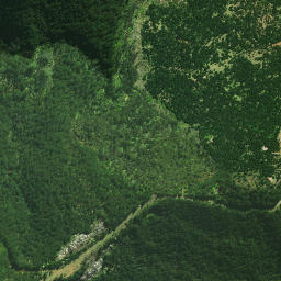 Satellite imagery of Whakapaku Pa, NZ