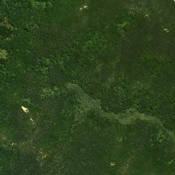 Satellite imagery of Wharekawa Pa, NZ