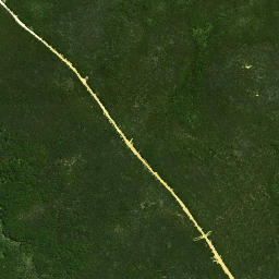 Satellite imagery of Wharekawa Pa, NZ