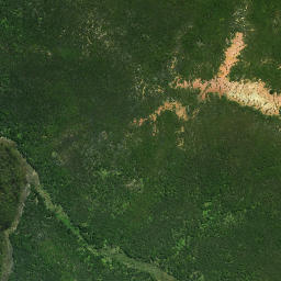 Satellite imagery of Wairoa Pa, NZ