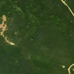 Satellite imagery of Wairoa Pa, NZ