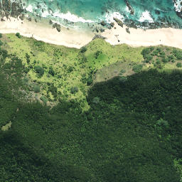 Satellite imagery of Tohureo Point, NZ