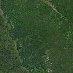 Satellite imagery of Wairoa Pa, NZ