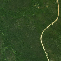 Satellite imagery of Wairoa Pa, NZ