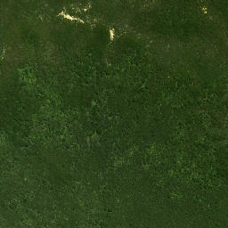 Satellite imagery of Wairoa Pa, NZ
