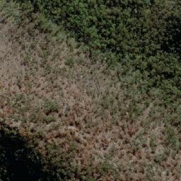 Satellite imagery of Joadja Hill, AU