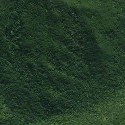 Satellite imagery of Ngaupoko Rocks, NZ