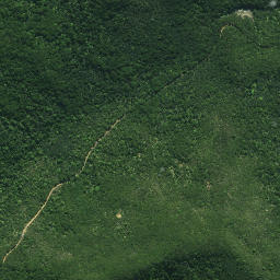 Satellite imagery of Tohureo Point, NZ