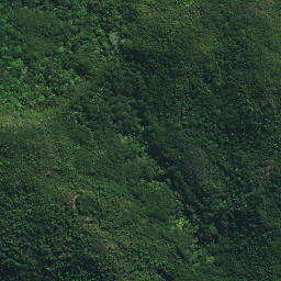 Satellite imagery of Tutaemahia Pa, NZ
