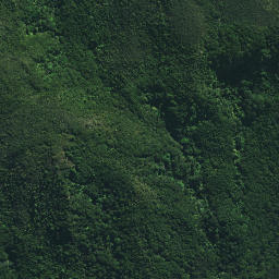 Satellite imagery of Tutaemahia Pa, NZ