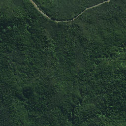 Satellite imagery of Tutaemahia Pa, NZ