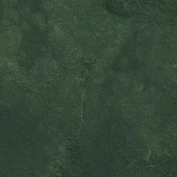 Satellite imagery of Kaiwhetu Pa, NZ