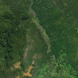 Satellite imagery of Wairoa Pa, NZ