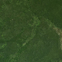 Satellite imagery of Wairoa Pa, NZ